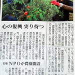 毎日新聞 (3)